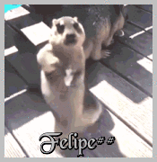 bicho2.gif