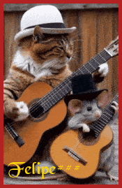 gatoerato2.gif
